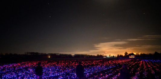 GROW: l’opera di Daan Roosegaarde a Rotterdam