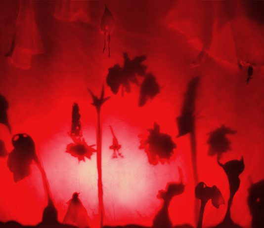 Mercato Nuovo Taranto ospita un intervento urbano di Ezia Mitolo L'opera di Ezia Mitolo a Taranto