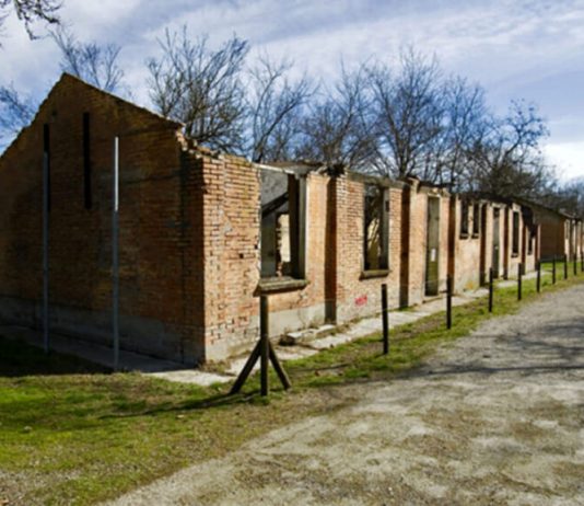 Giorno della Memoria: iniziative online e progetti per non dimenticare