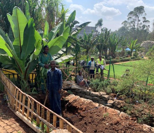 Di ponti e di erbari: il progetto di Eugenio Tibaldi ad Addis Abeba