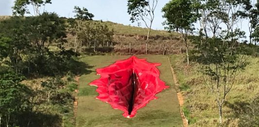 In Brasile, la scultura di una vulva ha fatto infuriare l’estrema destra di Bolsonaro