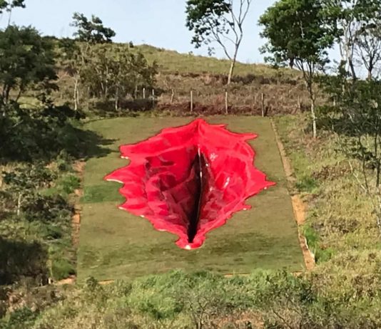 In Brasile, la scultura di una vulva ha fatto infuriare l’estrema destra di Bolsonaro