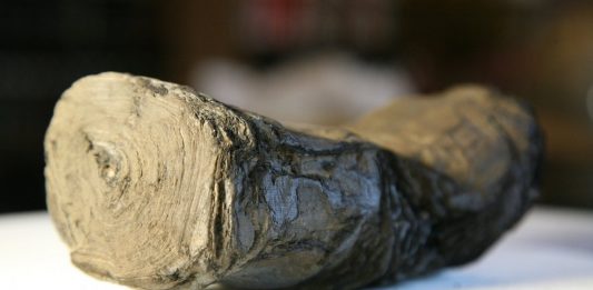 2,5 milioni ai ricercatori per decifrare i misteriosi Papiri di Ercolano