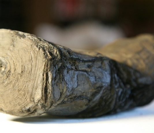 2,5 milioni ai ricercatori per decifrare i misteriosi Papiri di Ercolano