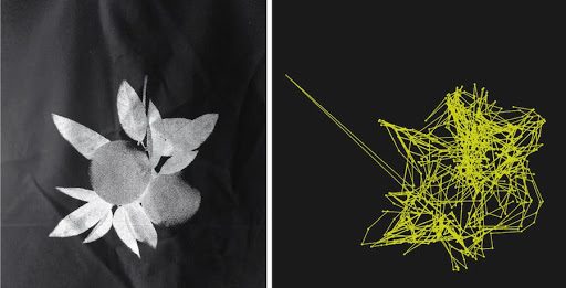 “Biomega Multiverso”: parla Cosimo Veneziano