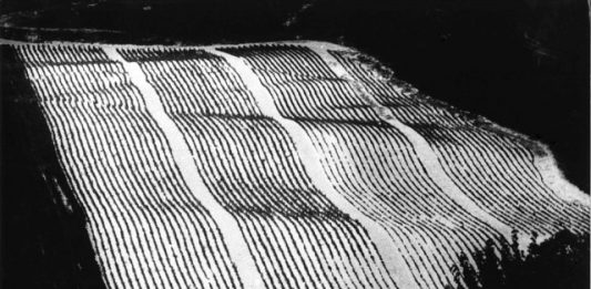 Il realismo magico di Mario Giacomelli al Palazzo del Duca di Senigallia Storie di terra come pagine di giornale, Mario Giacomelli, 1977. Photo credit: Archivio Mario Giacomelli