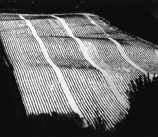 Il realismo magico di Mario Giacomelli al Palazzo del Duca di Senigallia Storie di terra come pagine di giornale, Mario Giacomelli, 1977. Photo credit: Archivio Mario Giacomelli