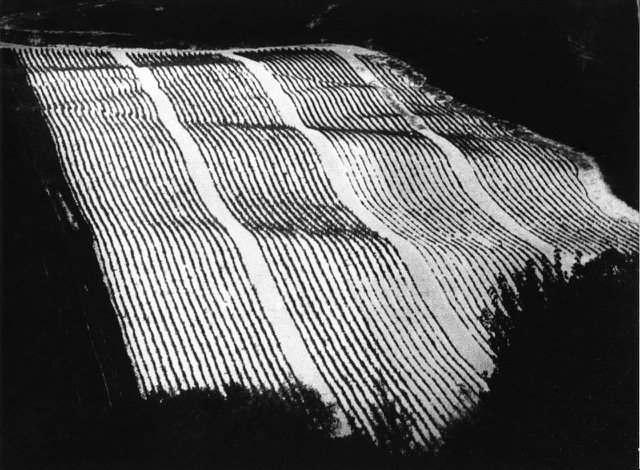 Storie di terra come pagine di giornale, Mario Giacomelli, 1977. Photo credit: Archivio Mario Giacomelli