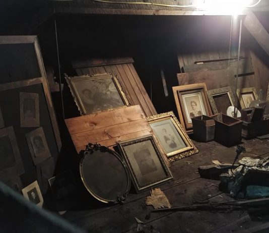 Il tesoro delle suffragiste: a New York, tornano alla luce centinaia di fotografie d’epoca