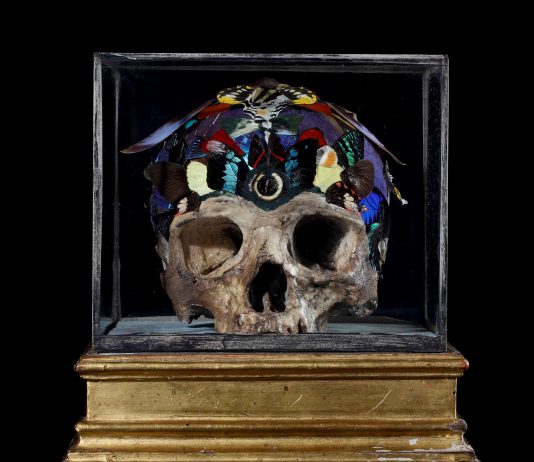 Mirabilia da Cambi: all’asta dinosauri e altre cose straordinarie