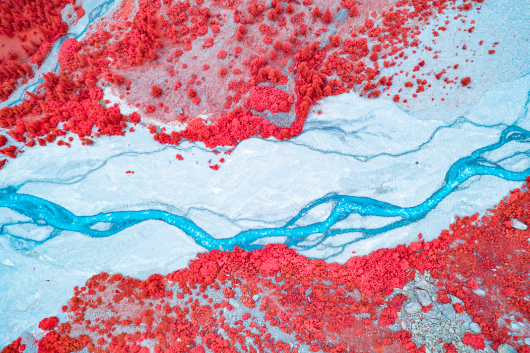 2nd-Place-Blood-of-the-Earth-by-Paolo-Pettigiani