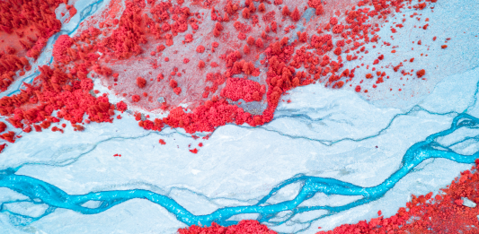 Life in another light 2020, gli scatti vincitori del concorso fotografico di Kolari Vision 2nd-Place-Blood-of-the-Earth-by-Paolo-Pettigiani