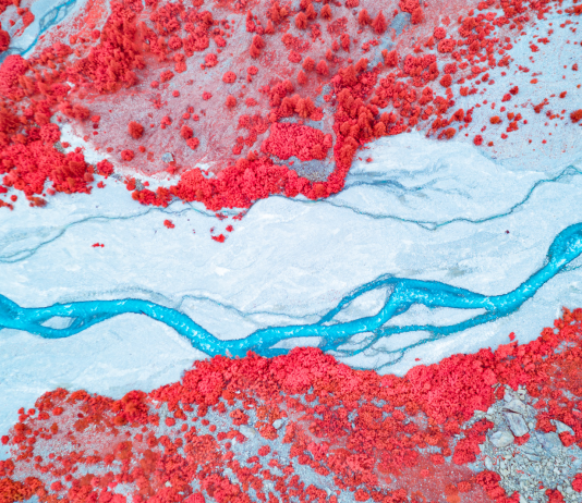 Life in another light 2020, gli scatti vincitori del concorso fotografico di Kolari Vision 2nd-Place-Blood-of-the-Earth-by-Paolo-Pettigiani