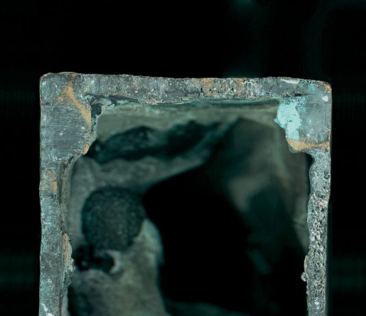 Premio Francesco Fabbri 2020: i vincitori e le menzioni speciali