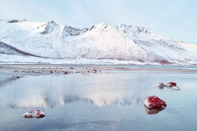 HEGEMONY BY HERMINE JOUAN