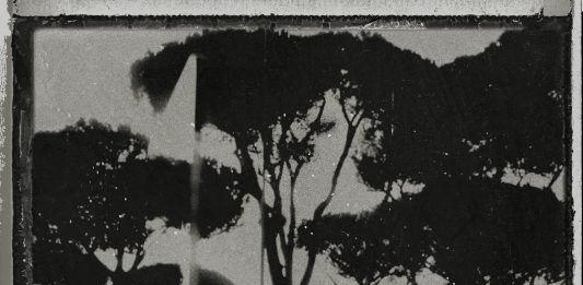 ‘Fotografia. Nuove produzioni 2020 per la collezione Roma’, al Mattatoio