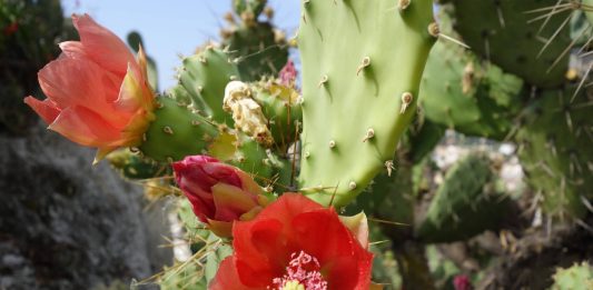 Stratificazione e memoria, Paolo Parisi a BUILDING