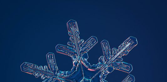 La neve come non l’avete mai vista, grazie alla super camera di Nathan Myhrvold Nathan Myhrvold