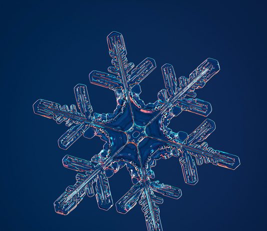 La neve come non l’avete mai vista, grazie alla super camera di Nathan Myhrvold Nathan Myhrvold