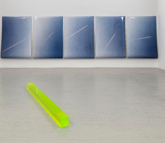 La passione per le geometrie disilluse