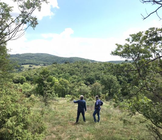 Opere per il museo a cielo aperto di Artenatura Villaga: gli artisti in residenza artenatura villaga
