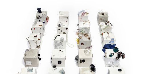 “Il Dono” di Rosy Rox fa tappa all’Istituto Colombo di Roma