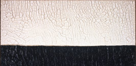 ‘Terre’ dalla Collezione Olgiati, Lugano. Intervista ai collezionisti