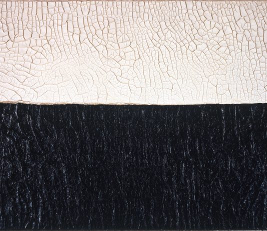 ‘Terre’ dalla Collezione Olgiati, Lugano. Intervista ai collezionisti