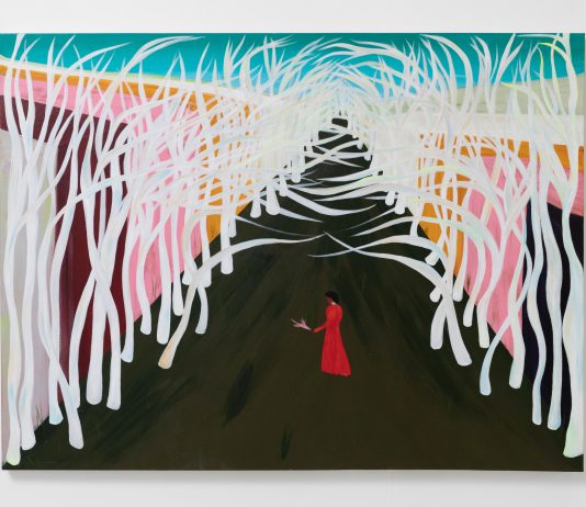 Da Vogue al sogno: ritratti di Delphine Desane da Luce Gallery, a Torino