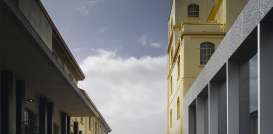 Non c’è arte senza cervello