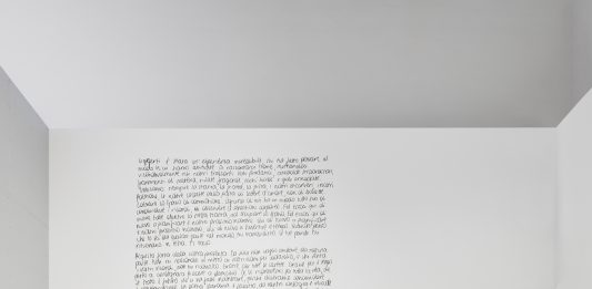 Il Premio Giovani Collezionisti per Quadriennale d’Arte va a Giulia Crispiani giulia crispiani premio quadriennale