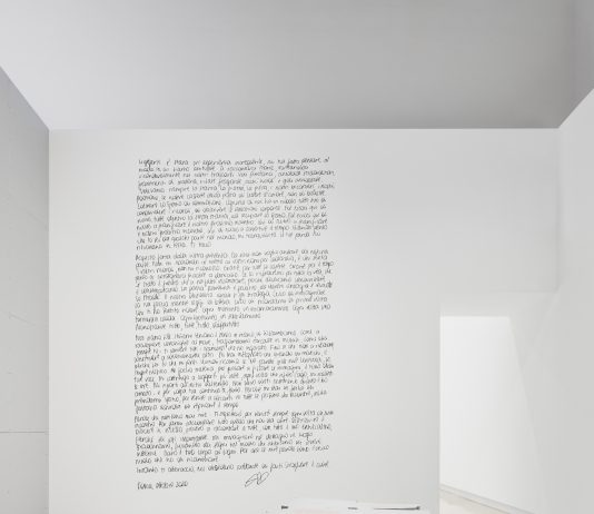 Il Premio Giovani Collezionisti per Quadriennale d’Arte va a Giulia Crispiani giulia crispiani premio quadriennale