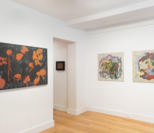 Debora Hirsch, Firmamento – Hutchinson Modern & Contemporary