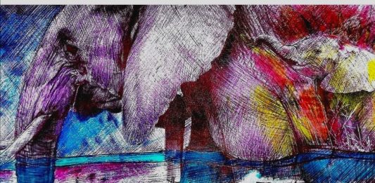 Agenda ONU 2030: a Roma, la Street Art racconta lo sviluppo sostenibile Moby Dick