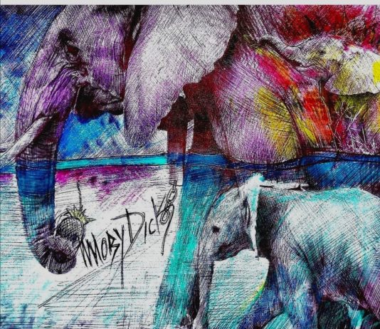 Agenda ONU 2030: a Roma, la Street Art racconta lo sviluppo sostenibile Moby Dick