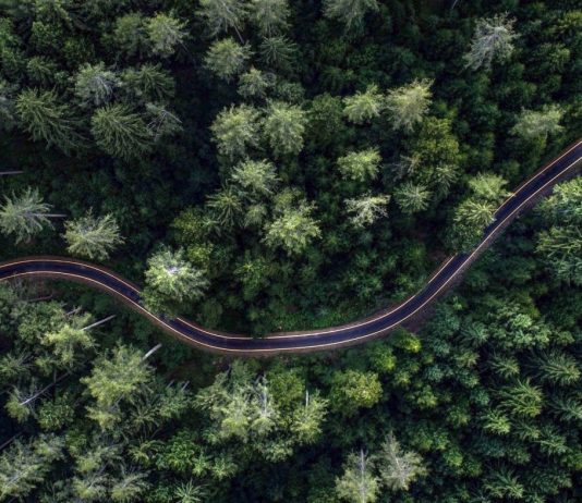 Opera for Peace: dalla musica lirica a temi sociali, economia e ambiente