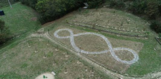 TANA Terranova ha bisogno di aiuto: lo spazio d’arte e ambiente colpito da una frana tana crowdfunding