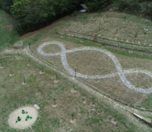 TANA Terranova ha bisogno di aiuto: lo spazio d’arte e ambiente colpito da una frana tana crowdfunding