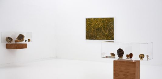 Il cibo è (s)cultura