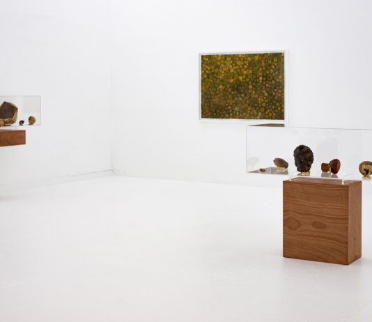 Il cibo è (s)cultura