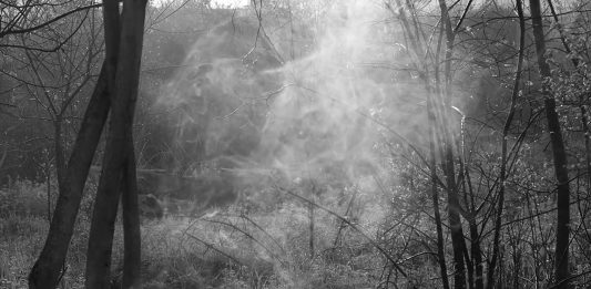 RUFA e AND insieme, per celebrare Dante tra videoarte e danza rufa dante