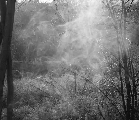 RUFA e AND insieme, per celebrare Dante tra videoarte e danza rufa dante