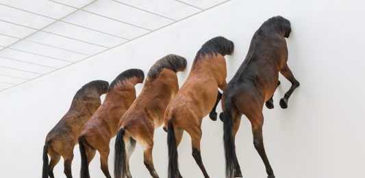 Maurizio Cattelan torna a Milano, con una nuova mostra al Pirelli HangarBicocca