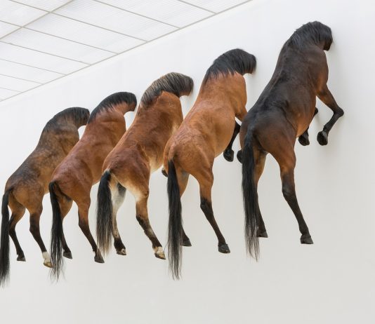 Maurizio Cattelan torna a Milano, con una nuova mostra al Pirelli HangarBicocca
