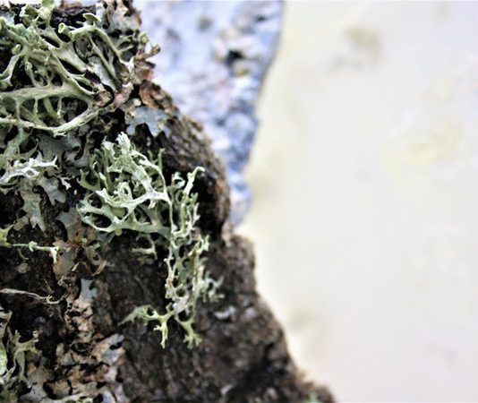 Samantha Passaniti – Confidence in the uncertain