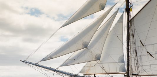 Arte per la salvaguardia del pianeta. Intervista a mp Warming