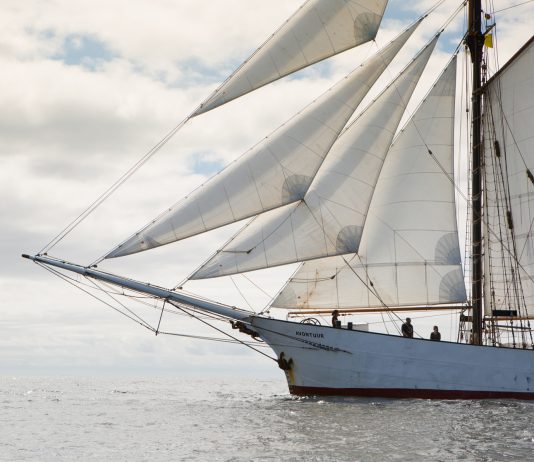 Arte per la salvaguardia del pianeta. Intervista a mp Warming