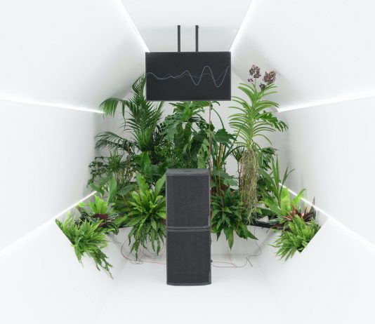 Pamela Diamante alla Galleria Gilda Lavia. Le parole dell’artista