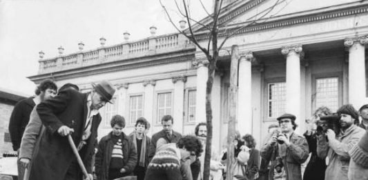 Un “Paradise Museum” per Joseph Beuys. Intervista a Maurizio De Caro