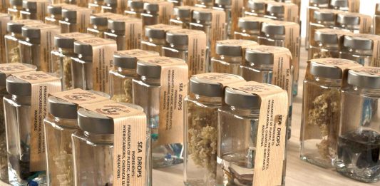 “FOSSILI CONTEMPORANEI”: L’ARTE CHIRURGICA DI GIANNI DEPAOLI, UNA MOSTRA ANTOLOGICA DAGLI INIZI ALLA PANDEMIA